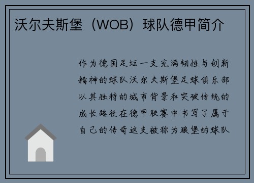 沃尔夫斯堡（WOB）球队德甲简介